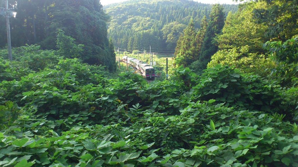 秋田の山あいを走る電車の風景